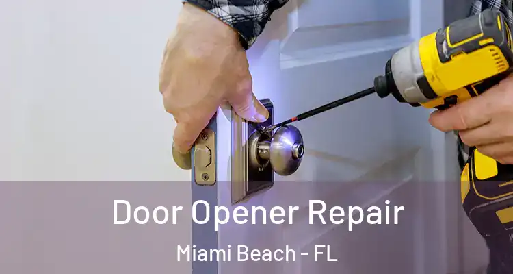  Door Opener Repair Miami Beach - FL