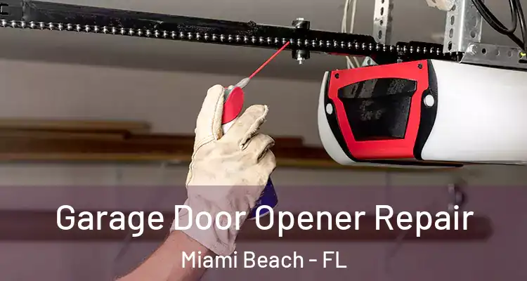  Garage Door Opener Repair Miami Beach - FL