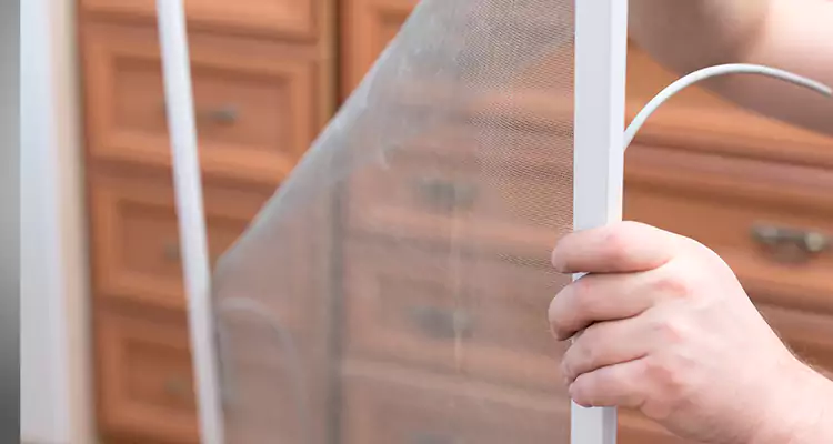 Privacy Mesh Screen Door Installation in Miami Beach, FL