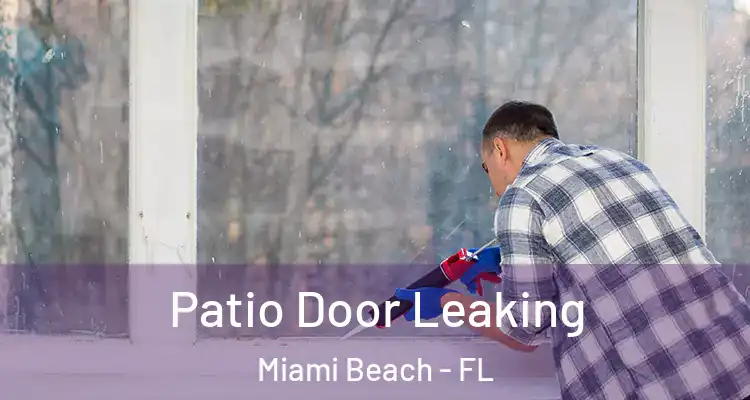  Patio Door Leaking Miami Beach - FL