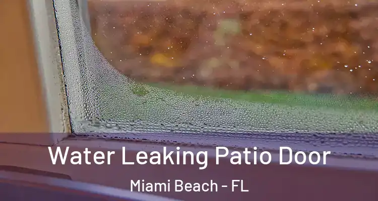  Water Leaking Patio Door Miami Beach - FL